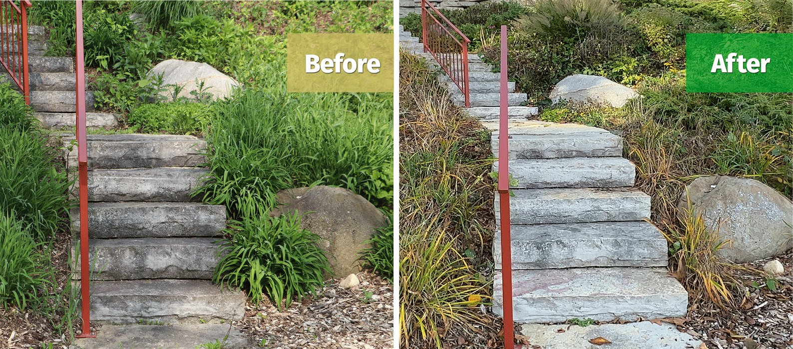 Before and after cleaning of outdoor steps