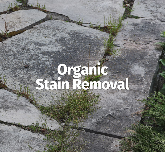 Image of Organic Stain Removal Service