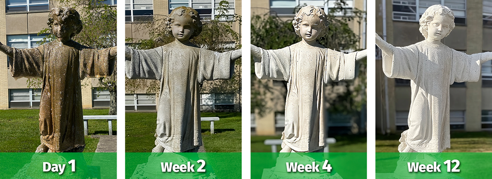 Before and after of a monument cleaning by Stain Erasers