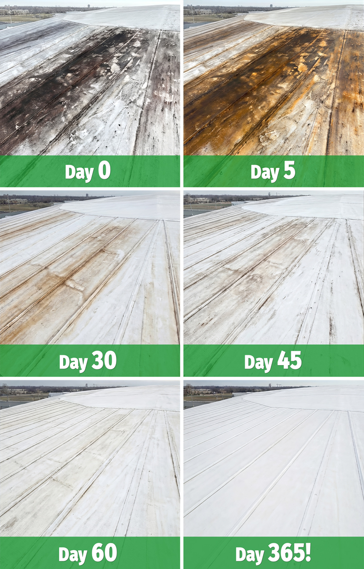 A commercial roof surface returning to clean white over time