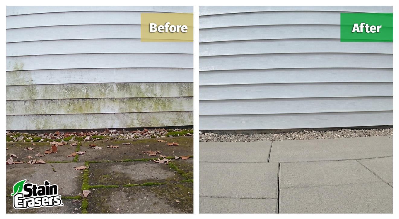 Clean, maintained commercial siding after treatment
